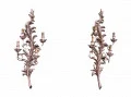 A Pair of Italian Carved Wall Lights