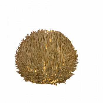Sea Urchin Coconut Husk Table Lamp